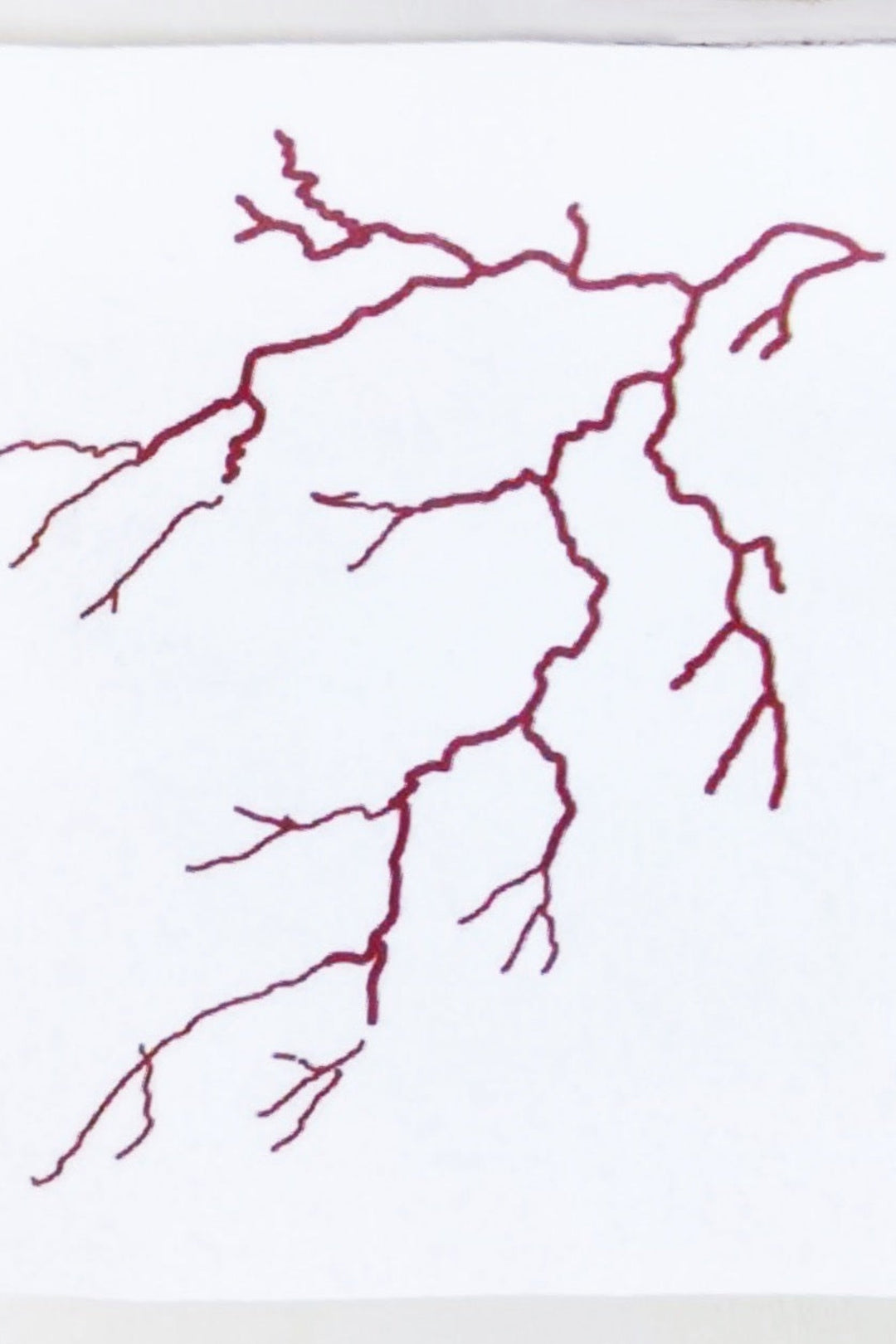 Brown Tree Branch Semi Permanent Tattoo