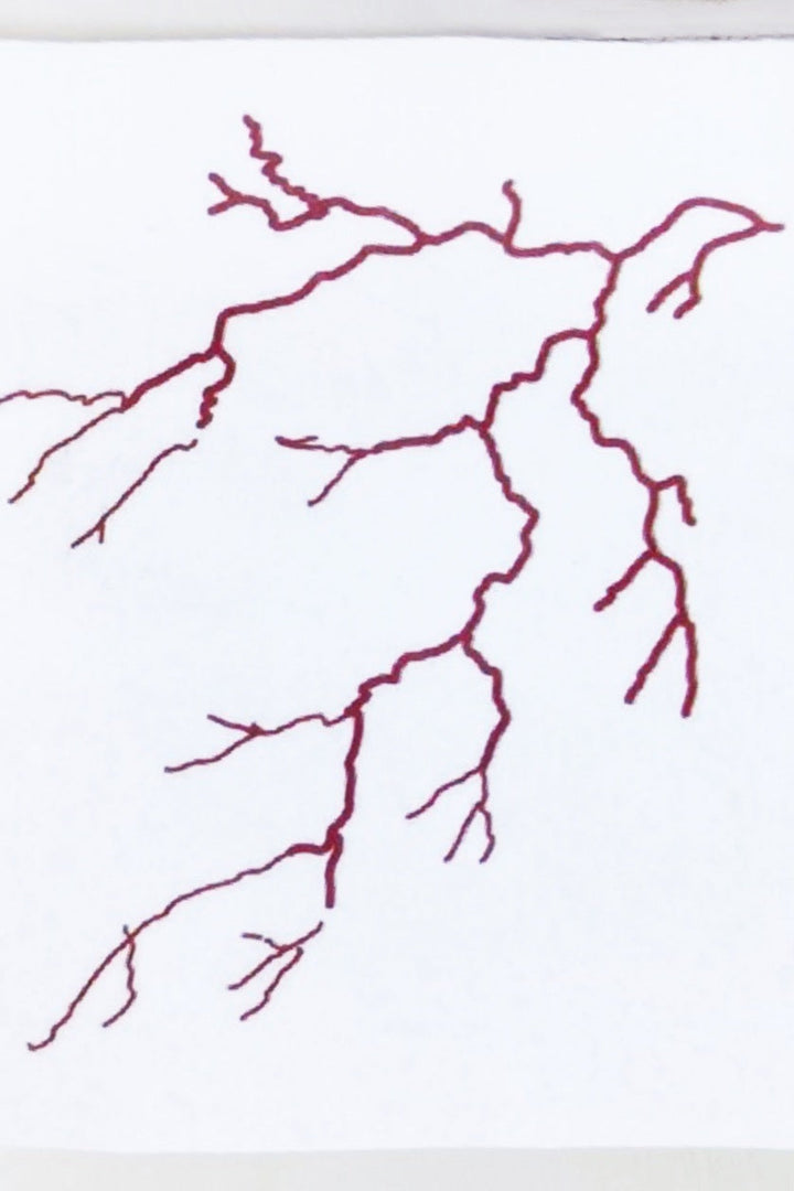 Brown Tree Branch Semi Permanent Tattoo