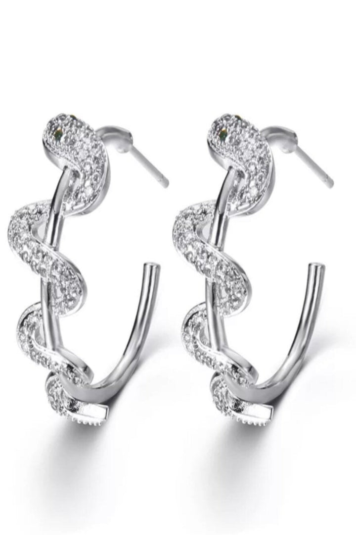 Snake-shaped Earrings Twisted Round Earings Geometric Punk Big Circle Earrings Medieval Gothic Bling Fashion serpent Women Men Jewelry  (48 Hour Dispatch)