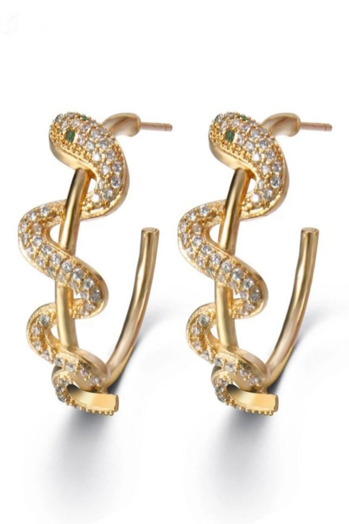 Snake-shaped Earrings Twisted Round Earings Geometric Punk Big Circle Earrings Medieval Gothic Bling Fashion serpent Women Men Jewelry  (48 Hour Dispatch)