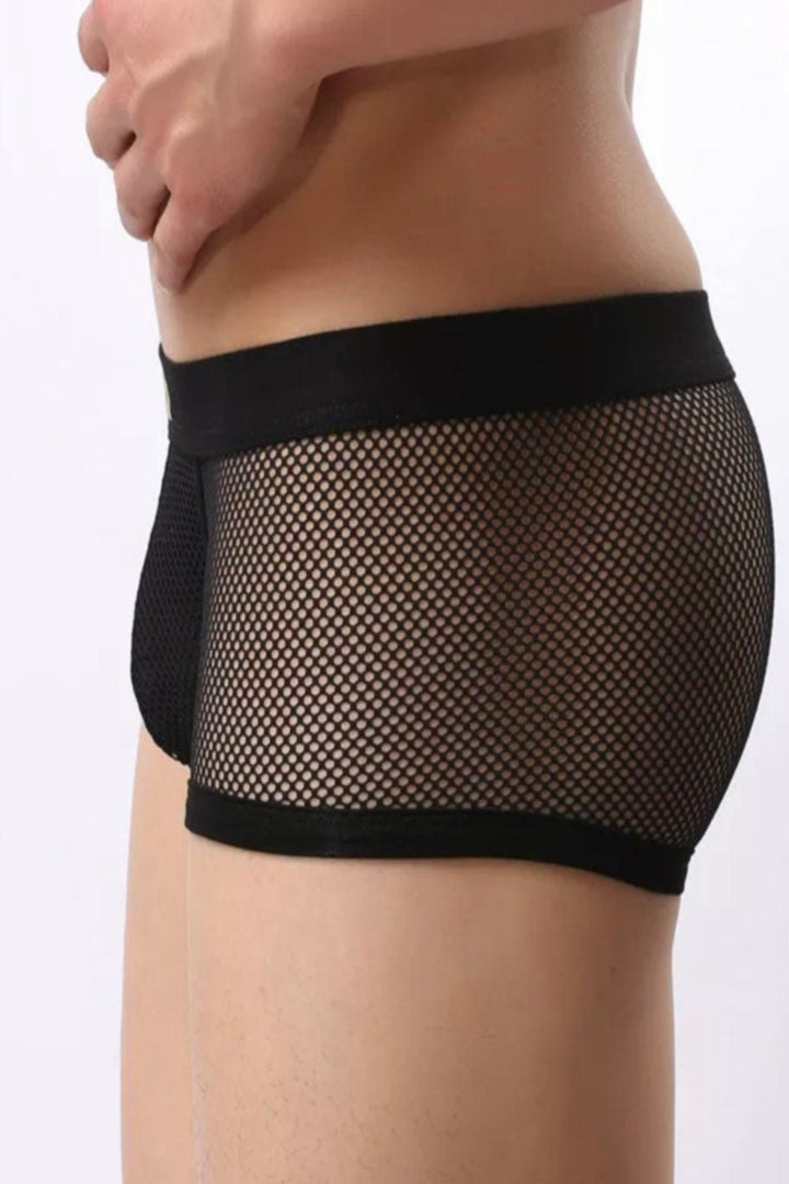 Underwear Men's Boxers Breathable Mesh Hollow Boxer Shorts Briefs Transparent [Size: Waist 32 - 34 Inches]